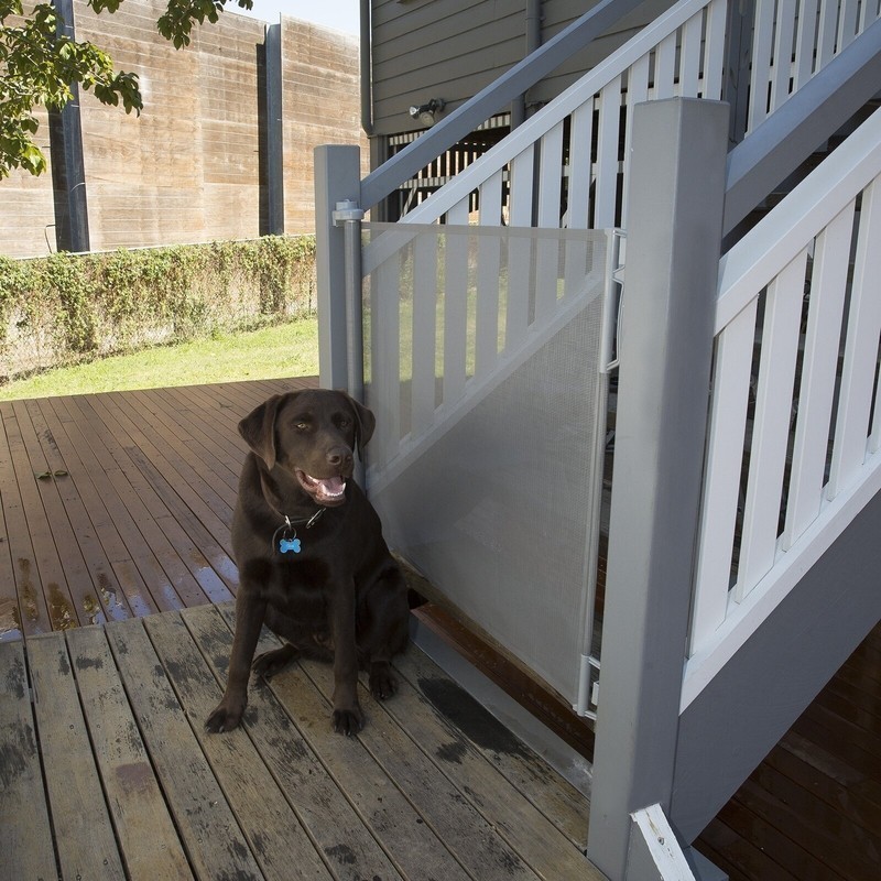 10 Best Dog Gates For Stairs